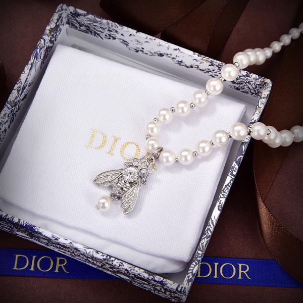 20242615341590 55602023